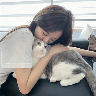 妖狐苏妲己